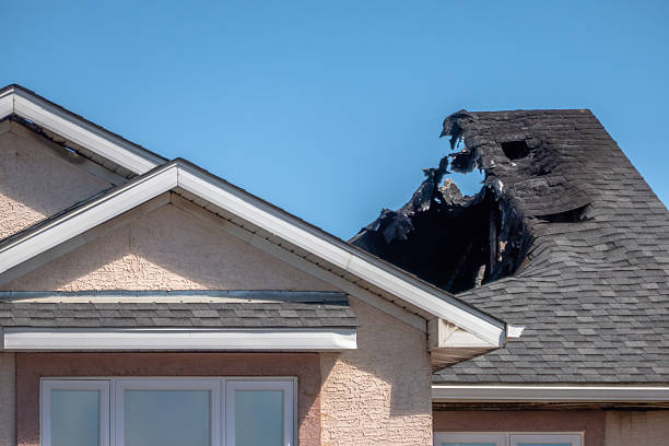 Top rated local Fire Damage Removal specialists in Terra Ceia, FL